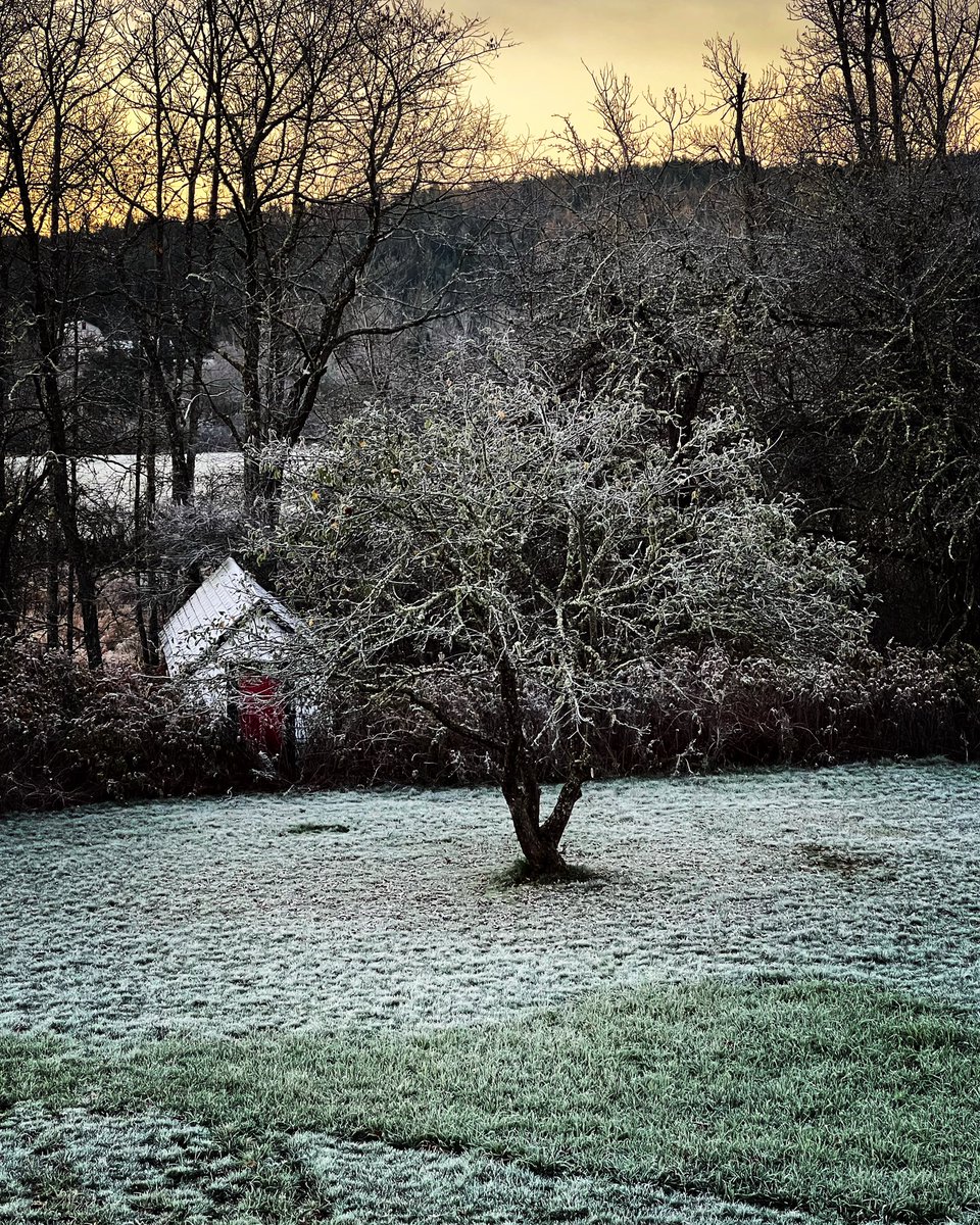 LisaMerrithew's tweet photo. Frosty mornings make the hot coffee taste better. If I start musing about chickens for the coop, please organize an intervention amongst yourselves. #NewBrunswick #octobermornings #allthecoffee https://t.co/mO7gSwochn