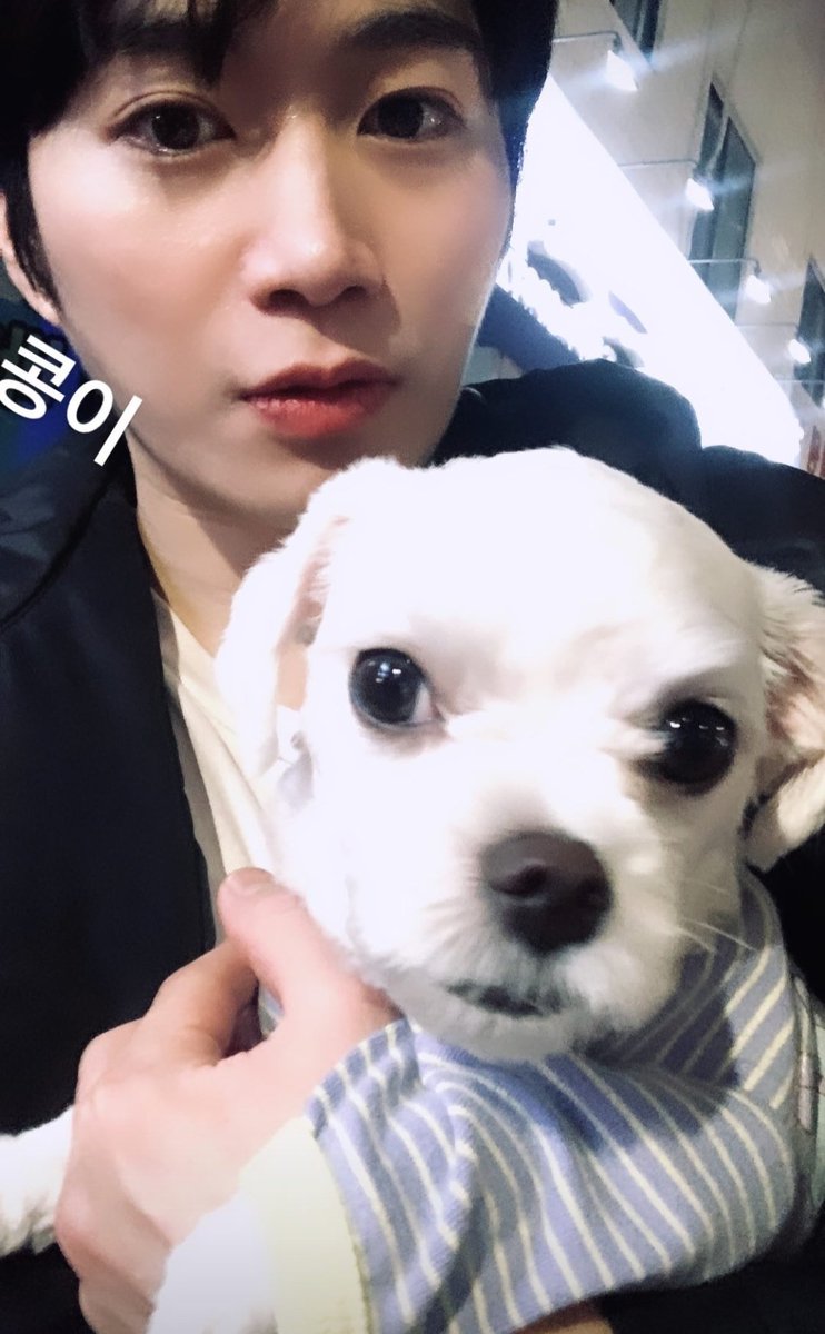 DAEWON JAPAN tweet media