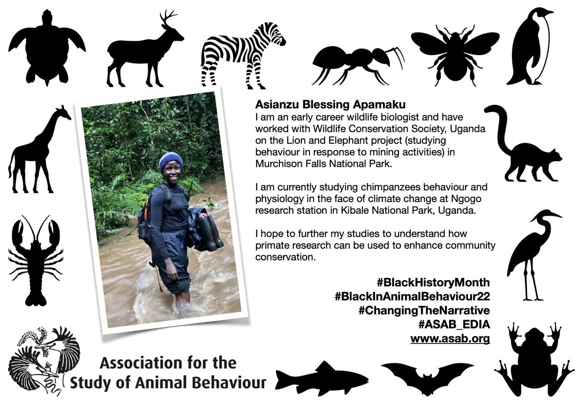asab_org's tweet photo. This is @ASIANZUBLESSIN1 Thank you for joining in with our campaign for #BlackHistoryMonth campaign Asianzu #ChangingTheNarrative #ASAB_EIDA #BlackInAnimalBehaviour22 https://t.co/nr5Hi0smAq