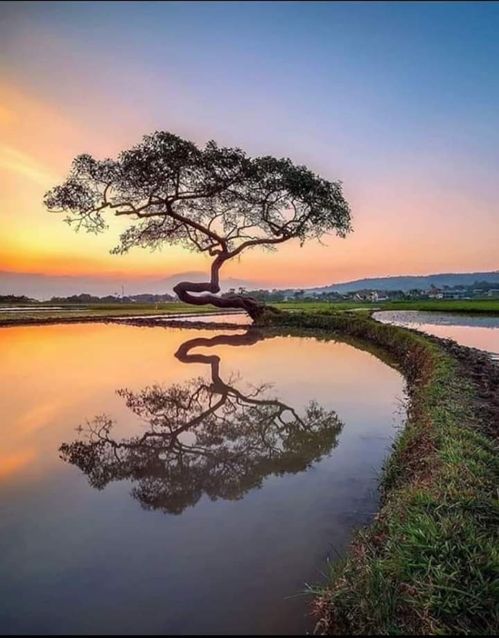 Each moment is fragile and fleeting. The moment of the past cannot be kept, however beautiful. The moment of the present cannot be held, however enjoyable. The moment of the future cannot be caught, however desirable. But the mind is desperate to fix the river in place: