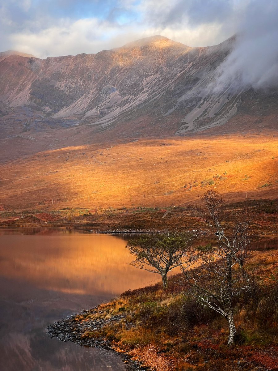 mark littlejohn tweet media