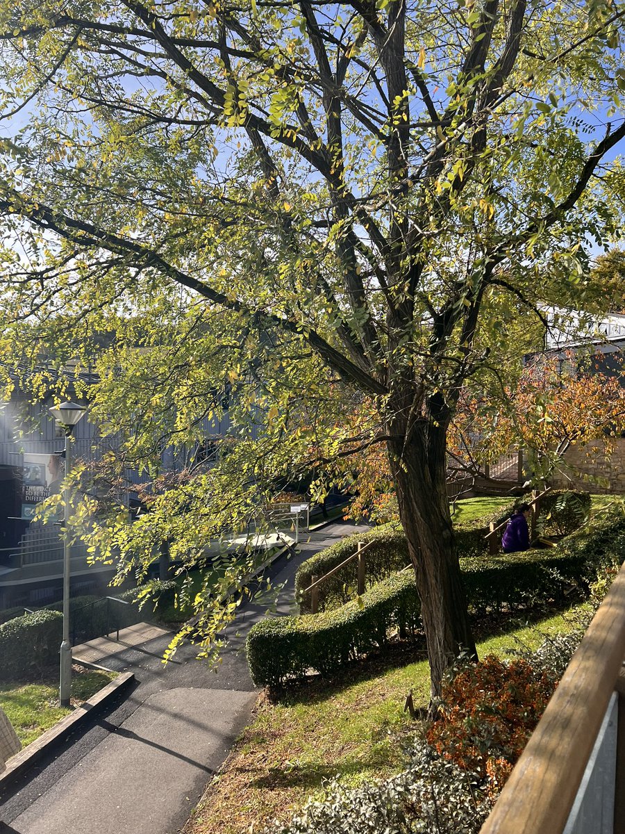 Education Studies Winchester tweet media