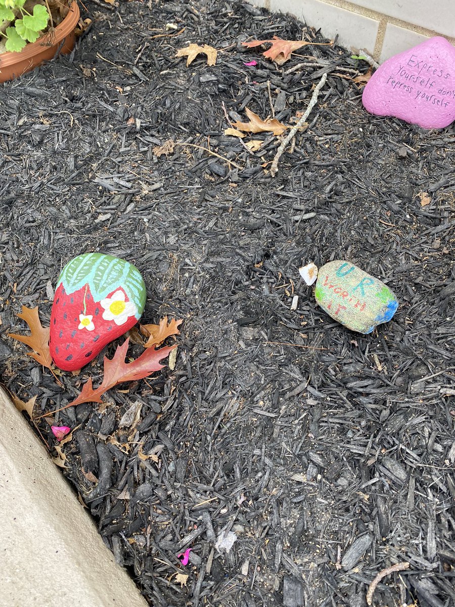 aberryfinn's tweet photo. Update with the kindness rocks by the Understanding Self & Relationships class #KindnessMatters #fillyourcupfirst https://t.co/G3SX8CVwkN