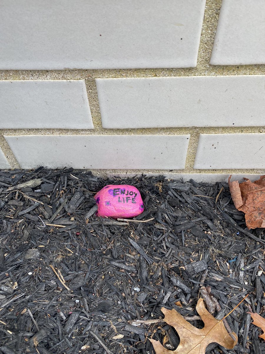 aberryfinn's tweet photo. Update with the kindness rocks by the Understanding Self & Relationships class #KindnessMatters #fillyourcupfirst https://t.co/G3SX8CVwkN