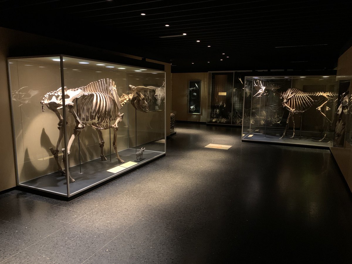 Dr Mark D. Scherz tweet media