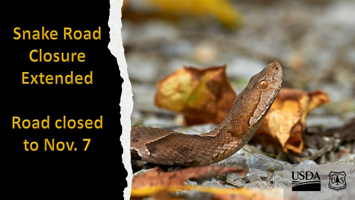 ShawneeNF's tweet photo. #SnakeRoad closure in the #ShawneeNationalForest has been extended until November 7th. https://t.co/f1Ntg7ZsWG