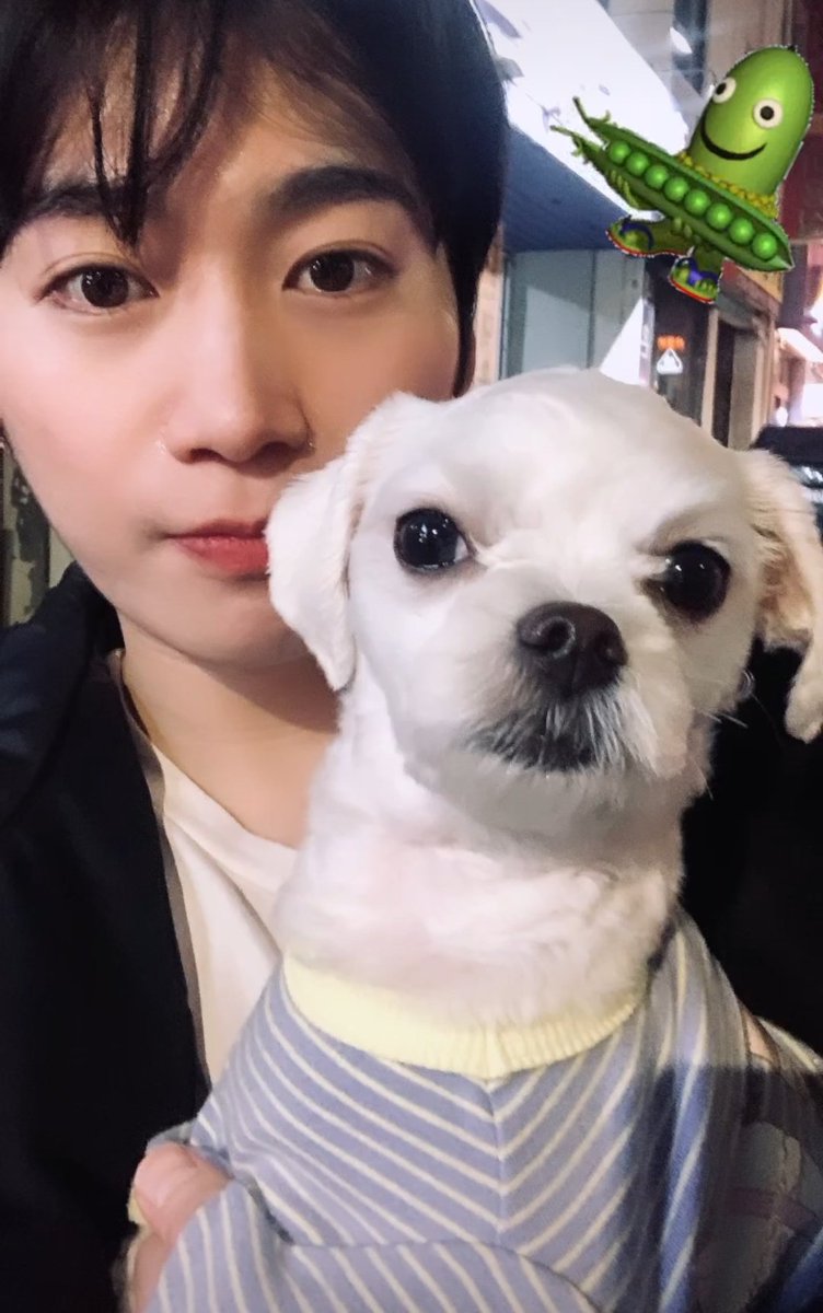 DAEWON JAPAN tweet media