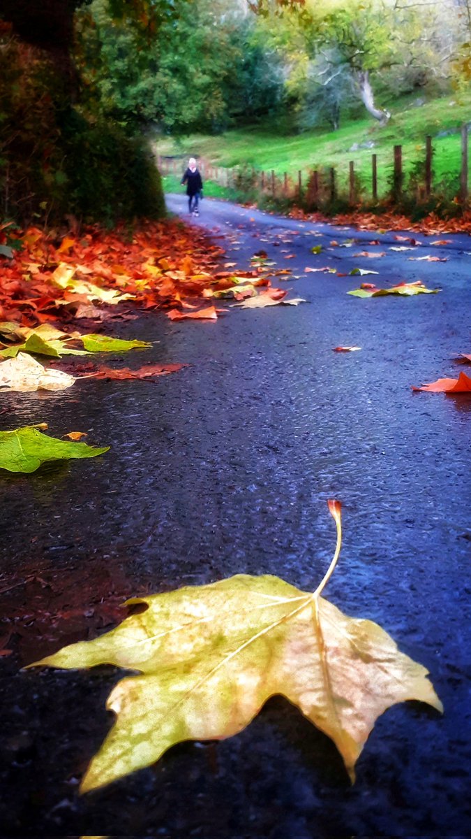 Photobombed by landlady and dog. I ain't even mad! 🍂
