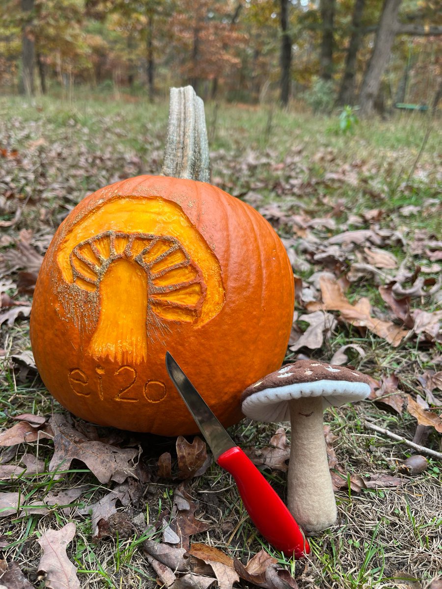 Happy Halloween! 
Mac, our mycelium mascot, helps out.