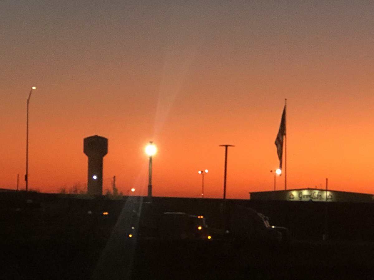 Emy Williams tweet media