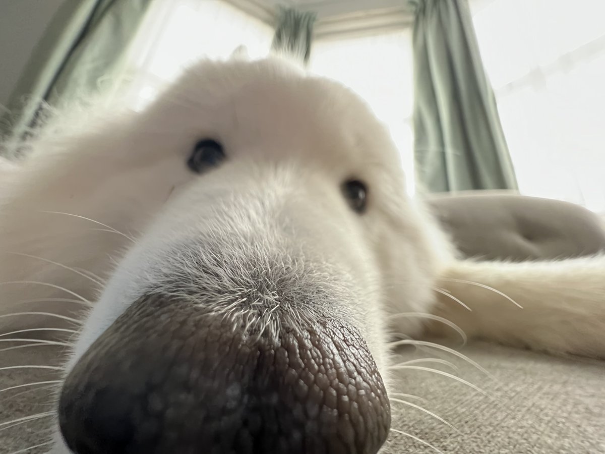 Sophie Hudson tweet media