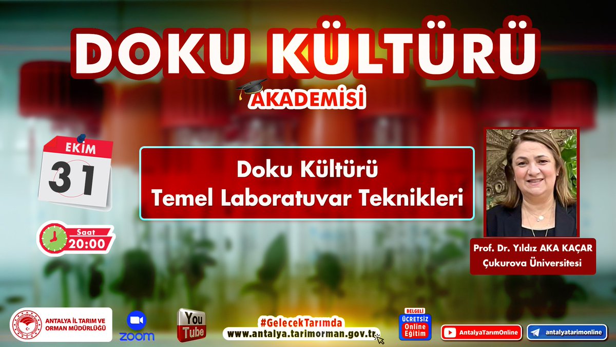 #DokuKültürüAkademisi-2

31.10.2022

<a href="/cuhabermerkezi/">Çukurova Üniversitesi</a>'den
Prof.Dr.Yıldız Aka Kaçar ile

🔹Doku Kültürü Temel Laboratuvar Teknikleri 

🔹Ücretsiz 🔹Çevrimiçi 🔹Belgeli 

#GelecekTarımda
#TarımAntalyada

Grup👇
chat.whatsapp.com/GGmQt9hEGd4J46…

<a href="/VahitKirisci/">Prof.Dr.Vahit Kirişci</a>
<a href="/ersinyazici1/">Ersin YAZICI</a>
<a href="/gokhankaraca_/">Gökhan Karaca</a>