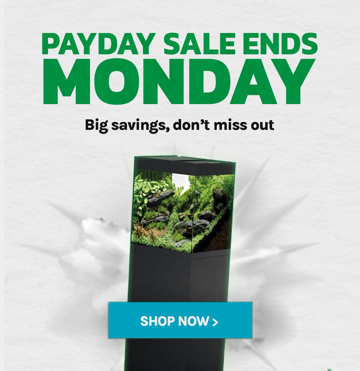 ⌛PAYDAY SALE ENDS MONDAY⌛

Our Payday Price Drop Bonanza ends midnight on Monday, don't miss out on a huge saving!💸  

bit.ly/3DsQteK