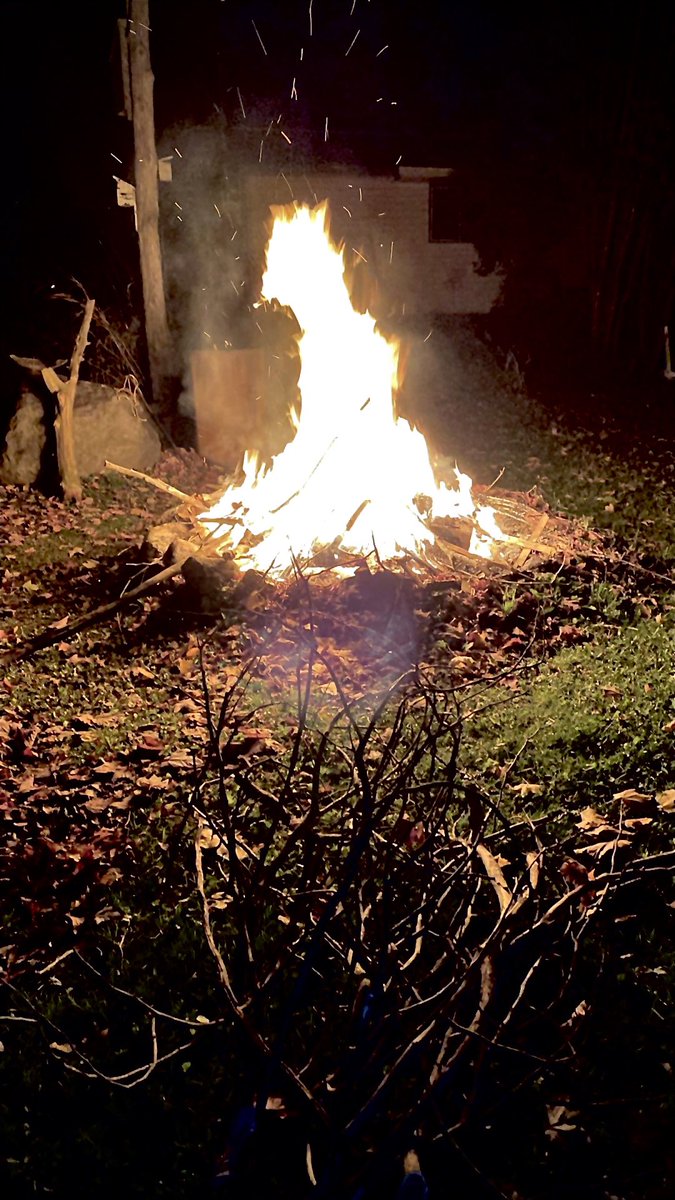 Explorer_Kay's tweet image. Had a beautiful fall fire last night! Perfect perfect perfect 👌🔥 #fire #fall #fallfire #perfect