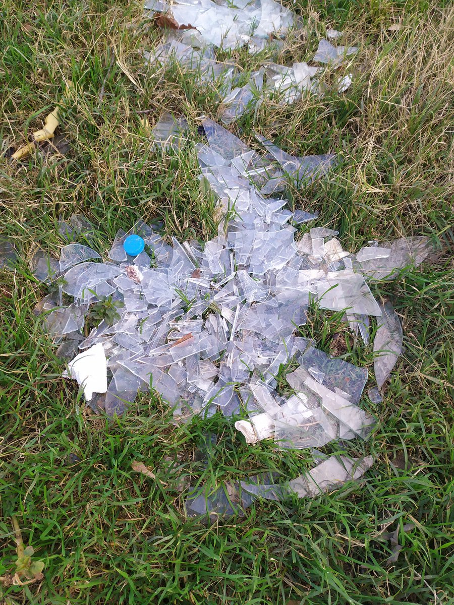 Tesadüfen geçerken topallayan kedi gördüm. Camlar ayağını kesmiş. Mevlana Arafat sok no 27 önündeki çöp tenekesi. <a href="/SancaktepeBeltr/">Sancaktepe Belediyesi 🇹🇷</a> <a href="/SeymaDgc/">Şeyma Döğücü</a>