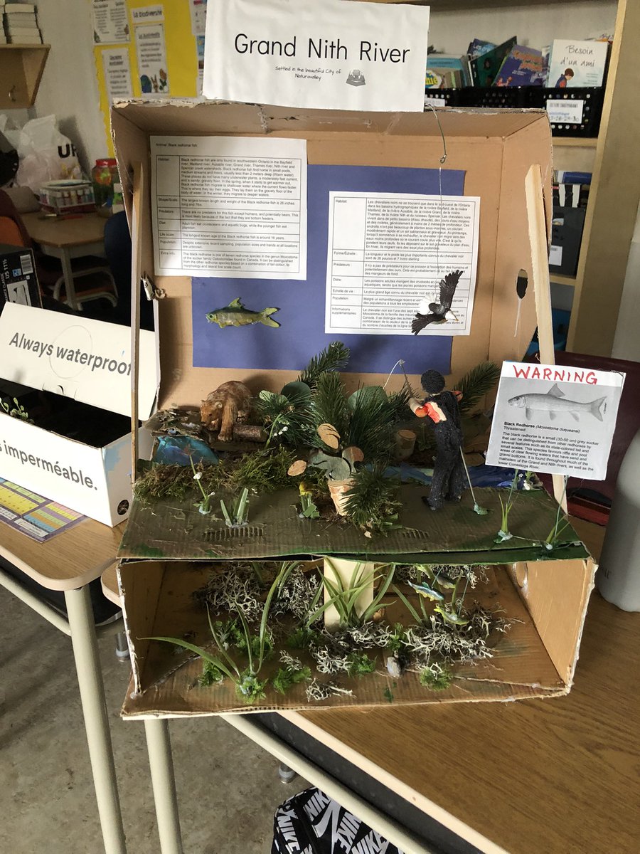 DelaurierMr's tweet photo. La 6/7e ont travaillé extrêmement fort sur leur projet de biodiversité/écosystème et quel succès. Their creativity and effort was shown throughout all their dioramas! Wow, très impressionnant! https://t.co/HRHQmgnfvB