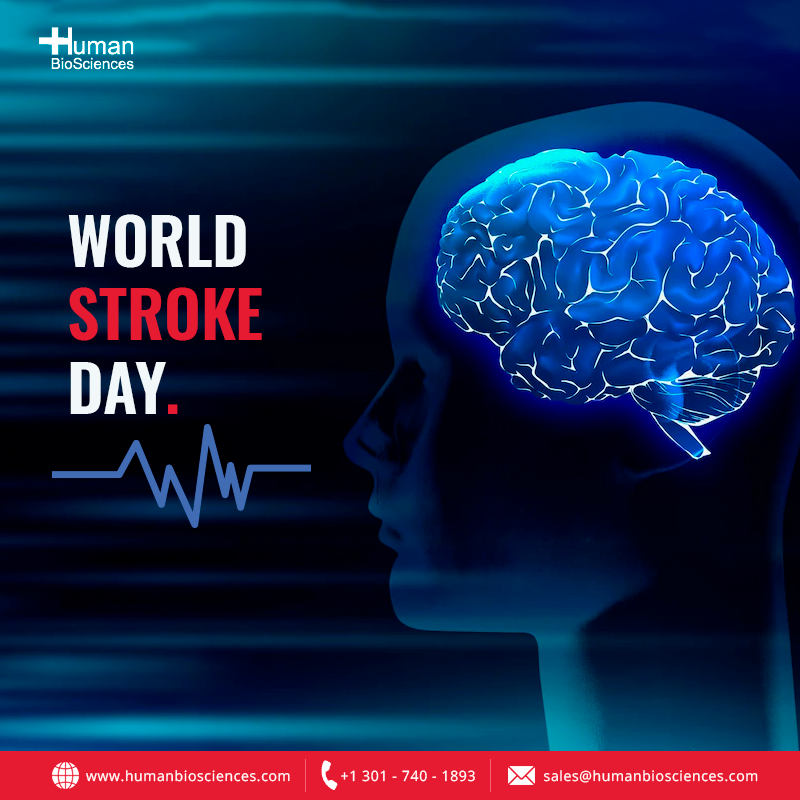 BiosciencesInc's tweet photo. 1 in 4 adults will have a stroke. Join the movement, and don't be the one.
#worldstrokeday #stroke #strokeprevention #awareness #jointhemovement #strokesurvivor #strokeistreatable #educate #strokeawareness #healthylifestyle #Healthcare #HealthAwareness #HBS #humanbiosciences https://t.co/t9QzatcFNg