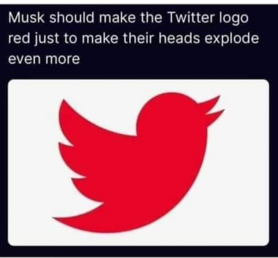 John Firimonte (@jfirimonte) on Twitter photo 