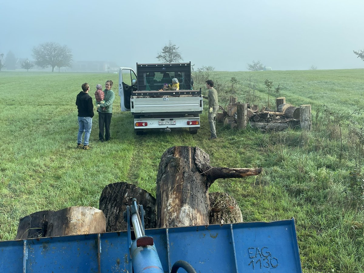 luethithomas's tweet photo. Heute im Einsatz als Baumaschinenführer am Arbeitstag des NV Härkingen.  🚜 
Es werden Strukturelemente in einer neu gepflanzten Hecke gebaut. #BirdLifeSolothurn @SVS_BirdLife https://t.co/eYM2JqE5yV