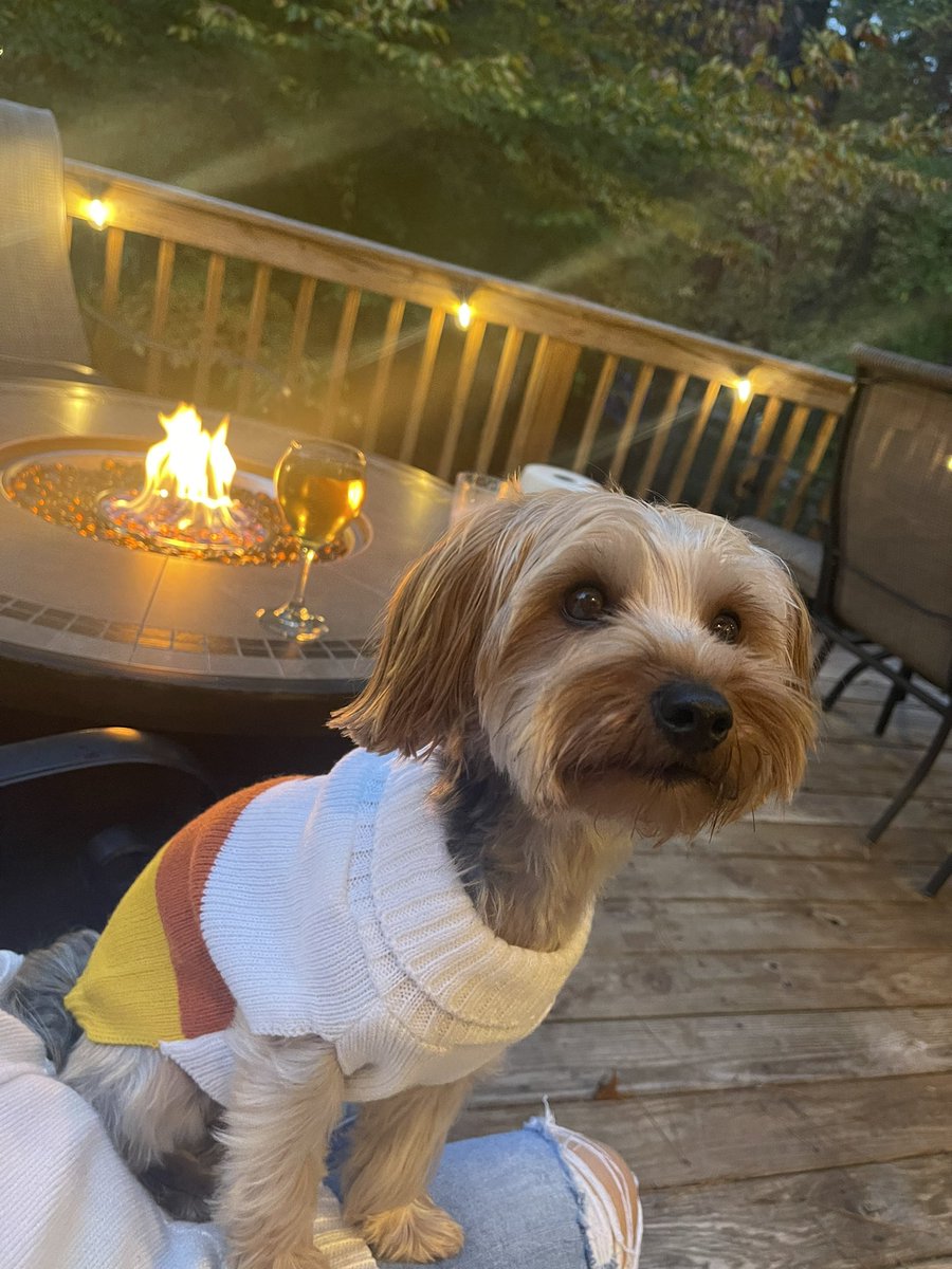 TeamEvans919's tweet photo. My buddy…♥️ https://t.co/beeMze9vBq