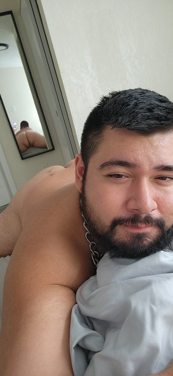 David 🐻 tweet media