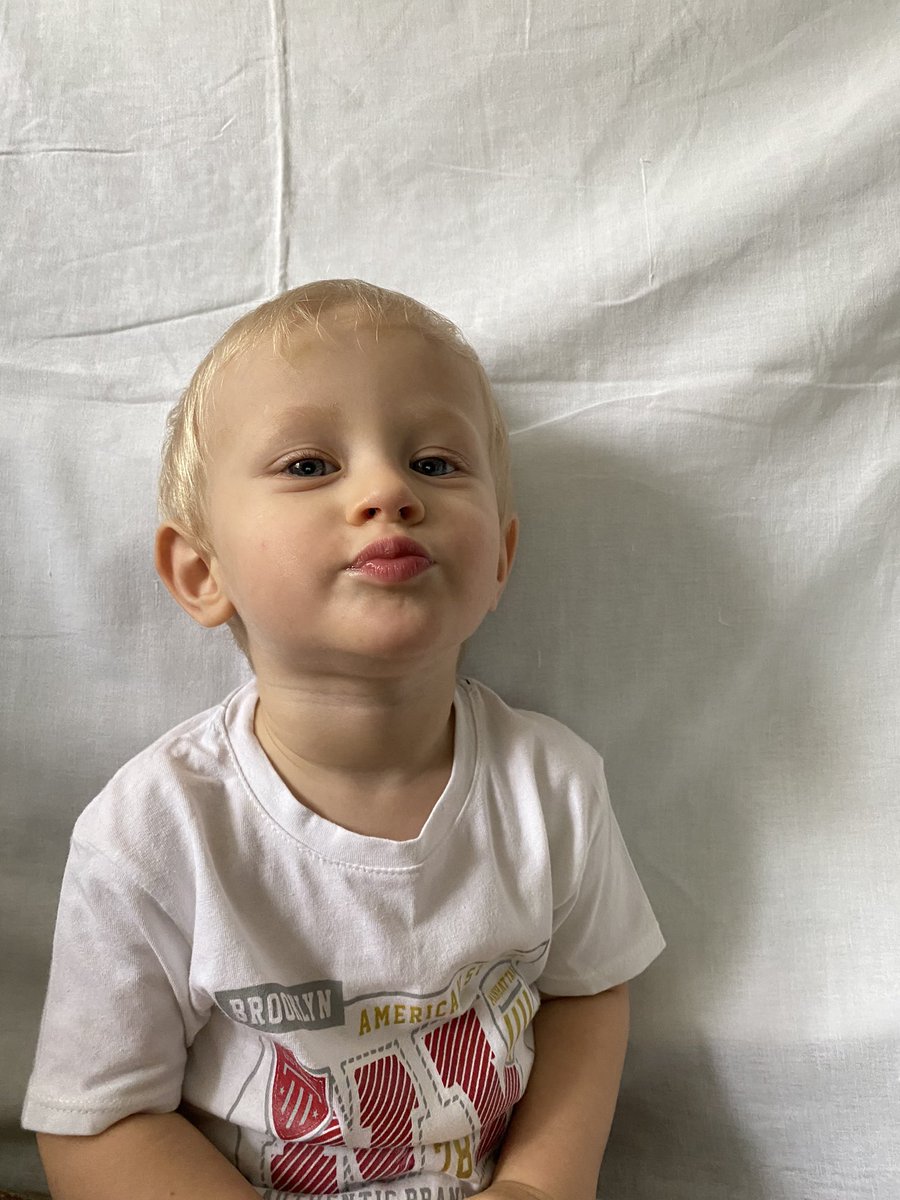 тревожная масса tweet media