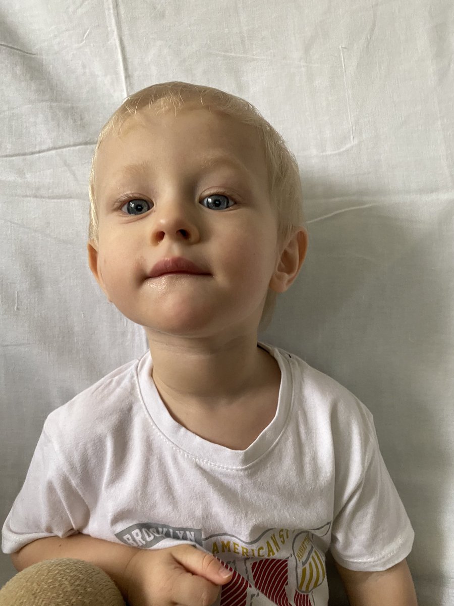 тревожная масса tweet media