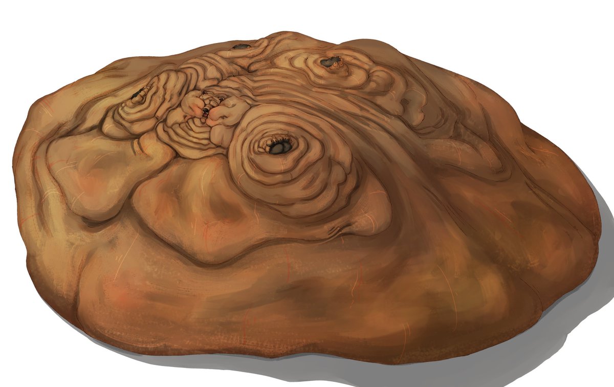 indigochub's tweet photo. Beeg Ol' Bear Blob for @MMistmi as my half of the art trade! :D https://t.co/6PEw30Ul9n
