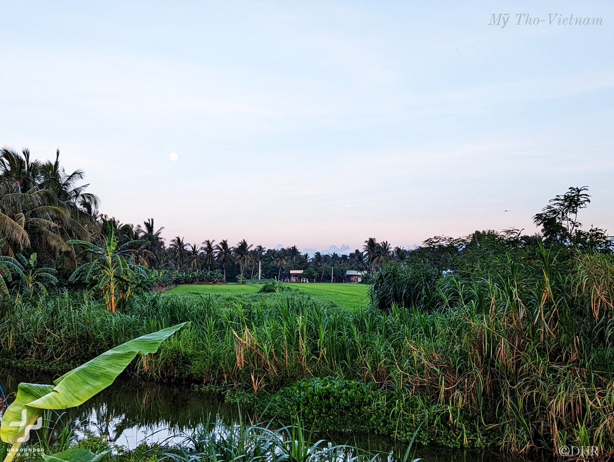 🌿Wetlands from the Tonle Sap Lake in #Cambodia  to the Mekong Delta in Vietnam, are rich in #biodiversity  and vital to alimentation. #Climatechange , #deforestation  and upstream dams cumulatively threaten these #wetlands. bit.ly/3xzPDte #Health #NaturePhotograhpy