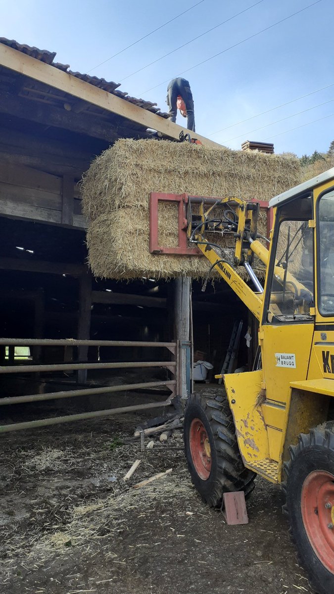Dach ausbessern am Stall, 
bevor der Winter kommt.