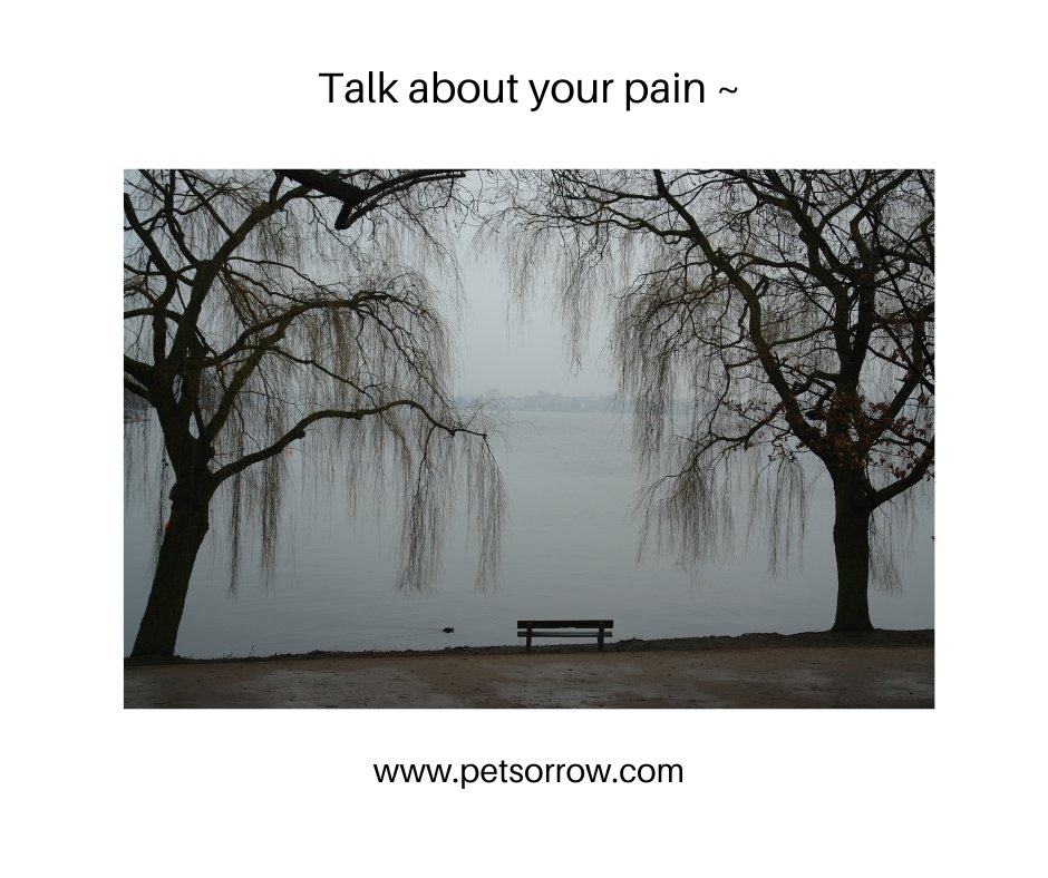 There is no grief like the grief that does not speak ~ Henry Wadsworth Longfellow 🦋

#petlossgrief #healingsolutionsforpetloss #griefandloss
