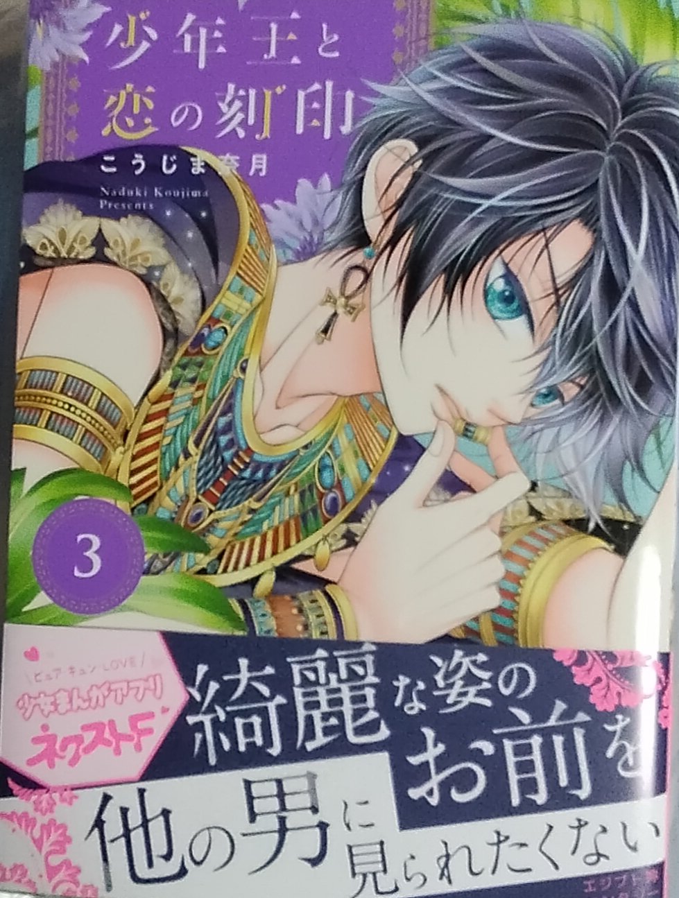 BLコミック まとめ売り 少女漫画 セット販売 こうじま奈月 | www