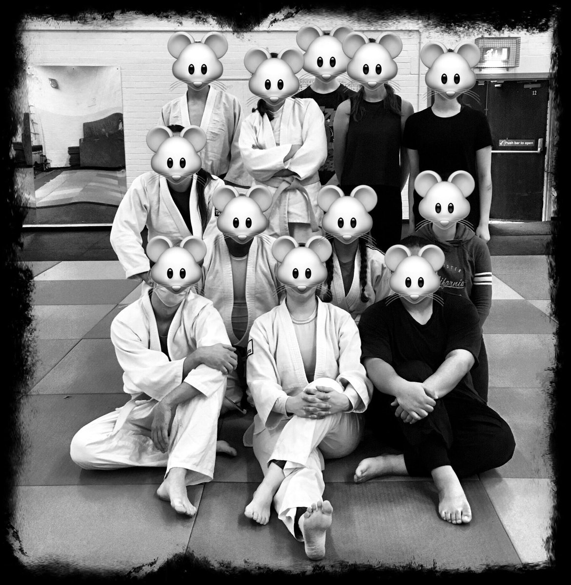 10am Saturday. 
Arm drags. Takedowns. Ground work. Hip throws.  Shoulder throws. Foot squeaks.

Lots of hard work put in today.  
#WeAreNorthumbria