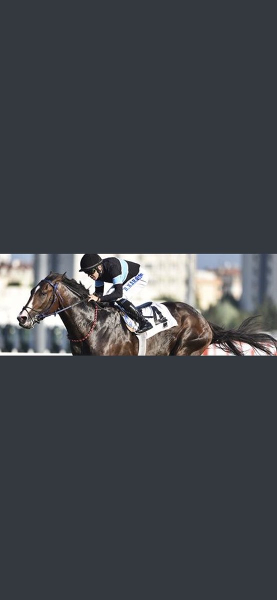 Maşallah mükemmel bi at ayaklarına sağlık 👍