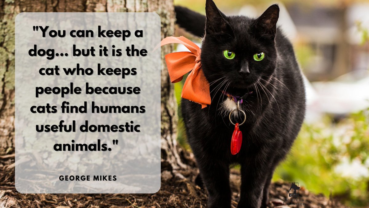 CenterforPetSafety tweet media