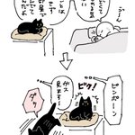 体調不良のためベッドで休んでいたときに来客が!そのときに愛猫が取った行動を描いた猫漫画が話題に!
