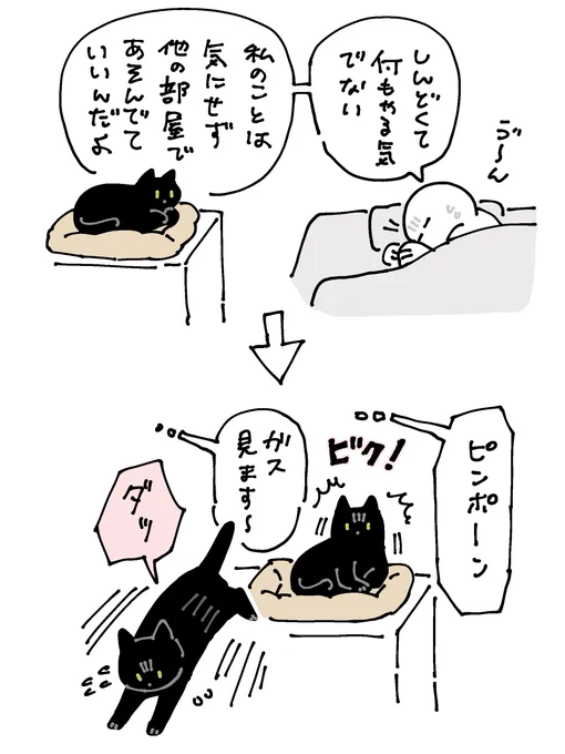 本日のろんさん 体調不良の飼い主にとても優しい #ろんの絵日記 