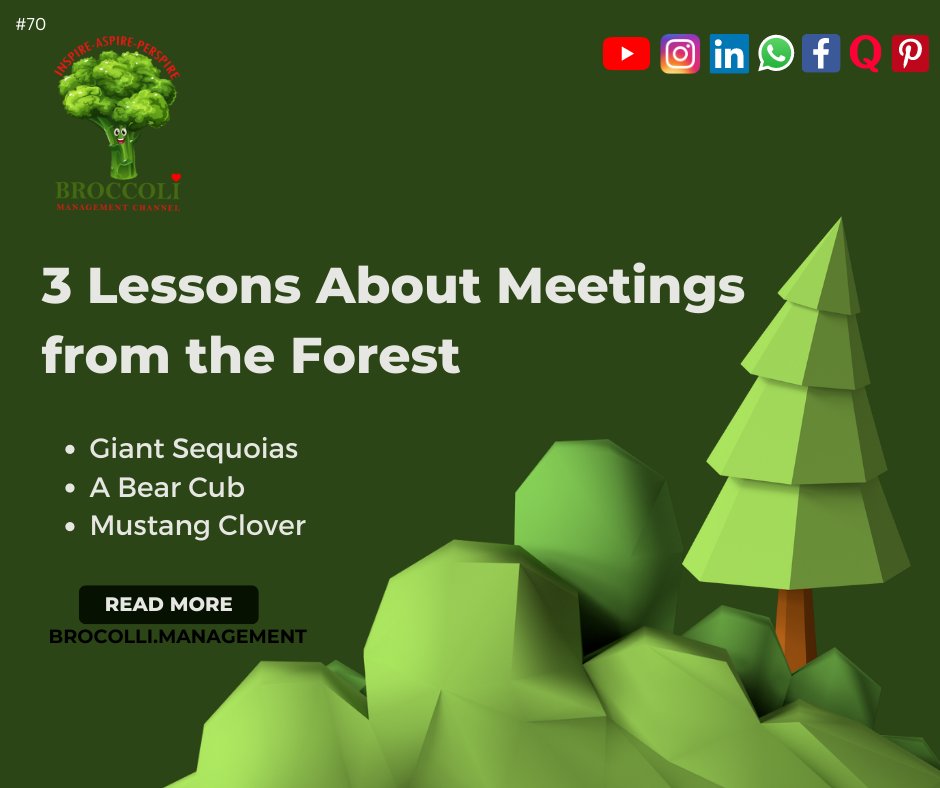 broccoli_mgmt's tweet photo. Continuing from the previous post.
There are lessons we can learn from Bears. 

Lesson 1: Hibernation Mode
Lesson 2: Go Where the Food Is
Lesson 3: Filling Your Fat Stores

#learnfrombear #bearbusiness #bearcub #meetingfromforest #learnmanagement #managementlessonsfromforest https://t.co/7iGdzq8KNC