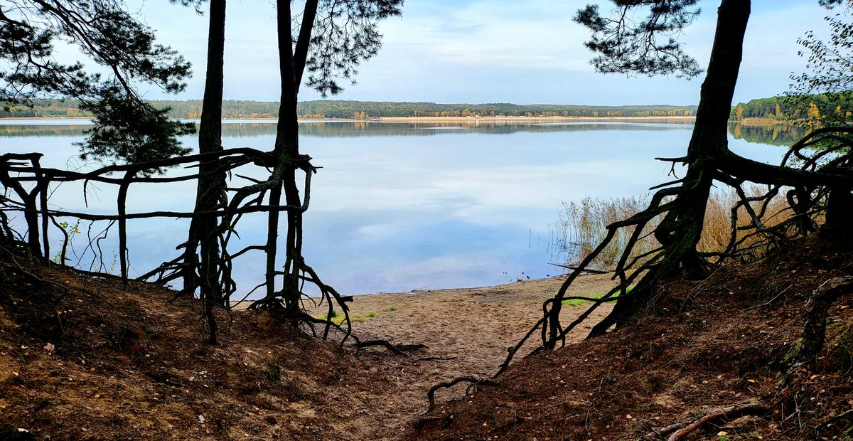 JurgenStegemann's tweet photo. #Helenesee #Katjasee
12km NATUR PUR , mehr brauchts nicht um Glücklich zu sein
@kritikkultur @ReneWilke https://t.co/Z9SZfqW5jQ