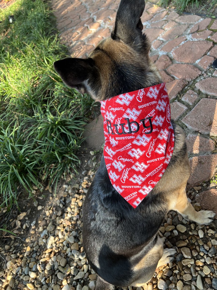 Homecoming game is at 11 and Ruby is ready. Go Coogs!!