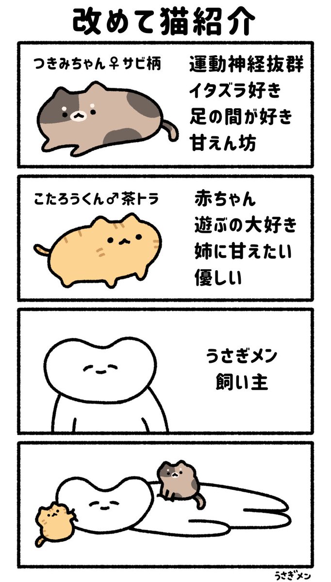 今後の4コマはうちの猫たちを描いていくので改めて猫紹介です!
姉つきみちゃん、弟こたろうくん

ゆるねこたちは動画にしていきます! 