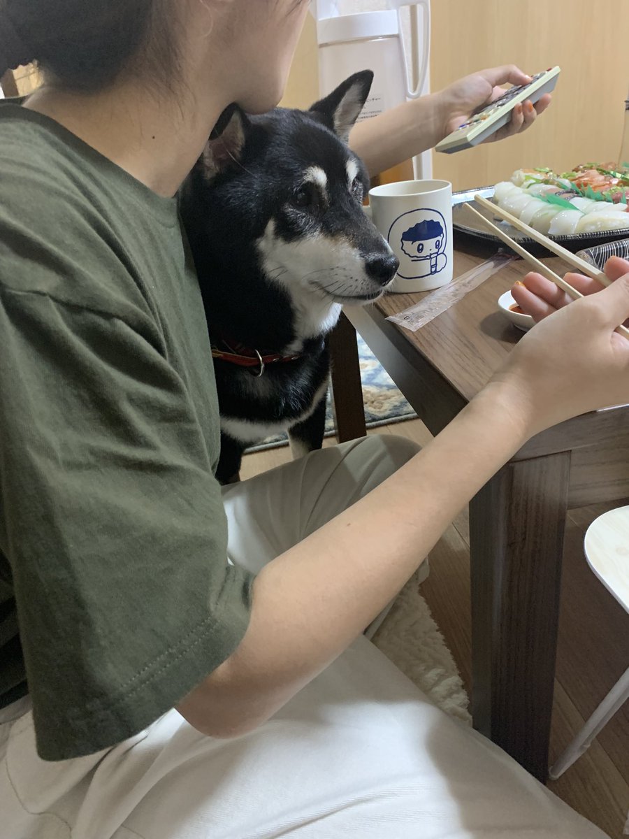TfRoWraEhVTh9kV's tweet photo. ペットロス、ホームシック、
どうしようもないくらいツラい https://t.co/mgg8DMhZIb
