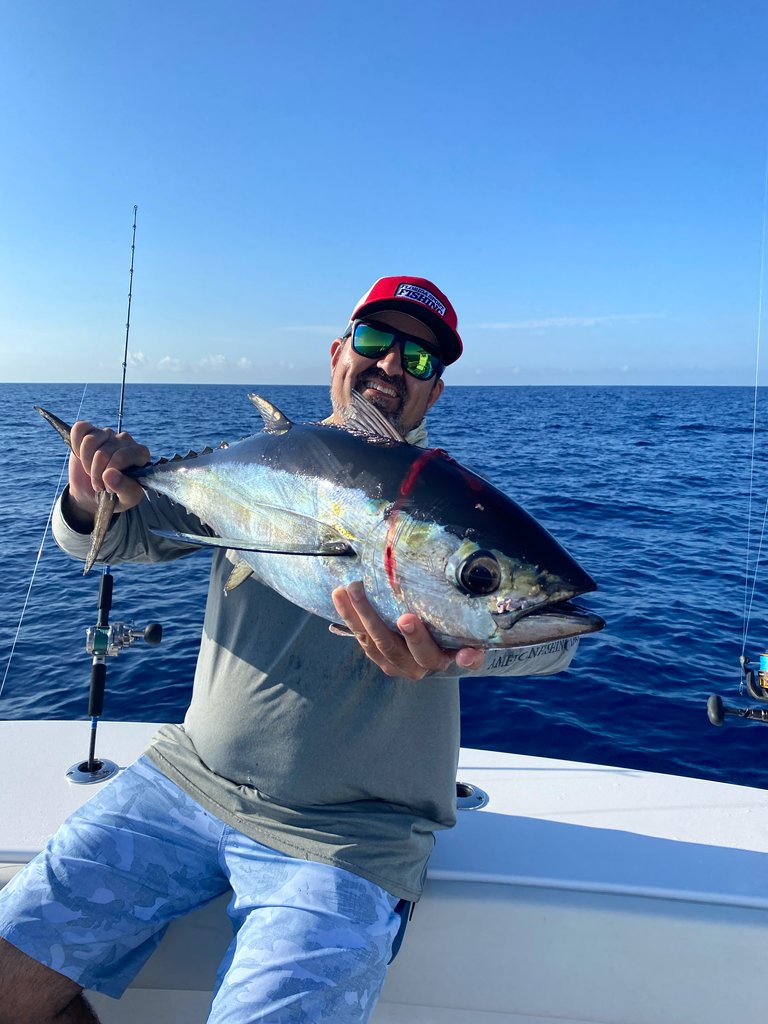 flsportfishing's tweet photo. Do you love #slowpitchjigging? Give it a try next time you're out fishing in #TheBahamas! 

Check out our guide on how to master this technique in the islands: https://t.co/RX89XWlcbk

#deepdropping #jigfishing #bahamasfishing #floridafishing https://t.co/R6muhmxhHq