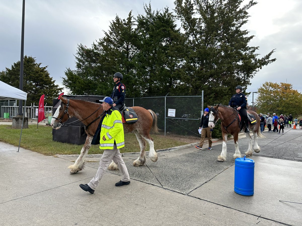 Mary Griffith tweet media