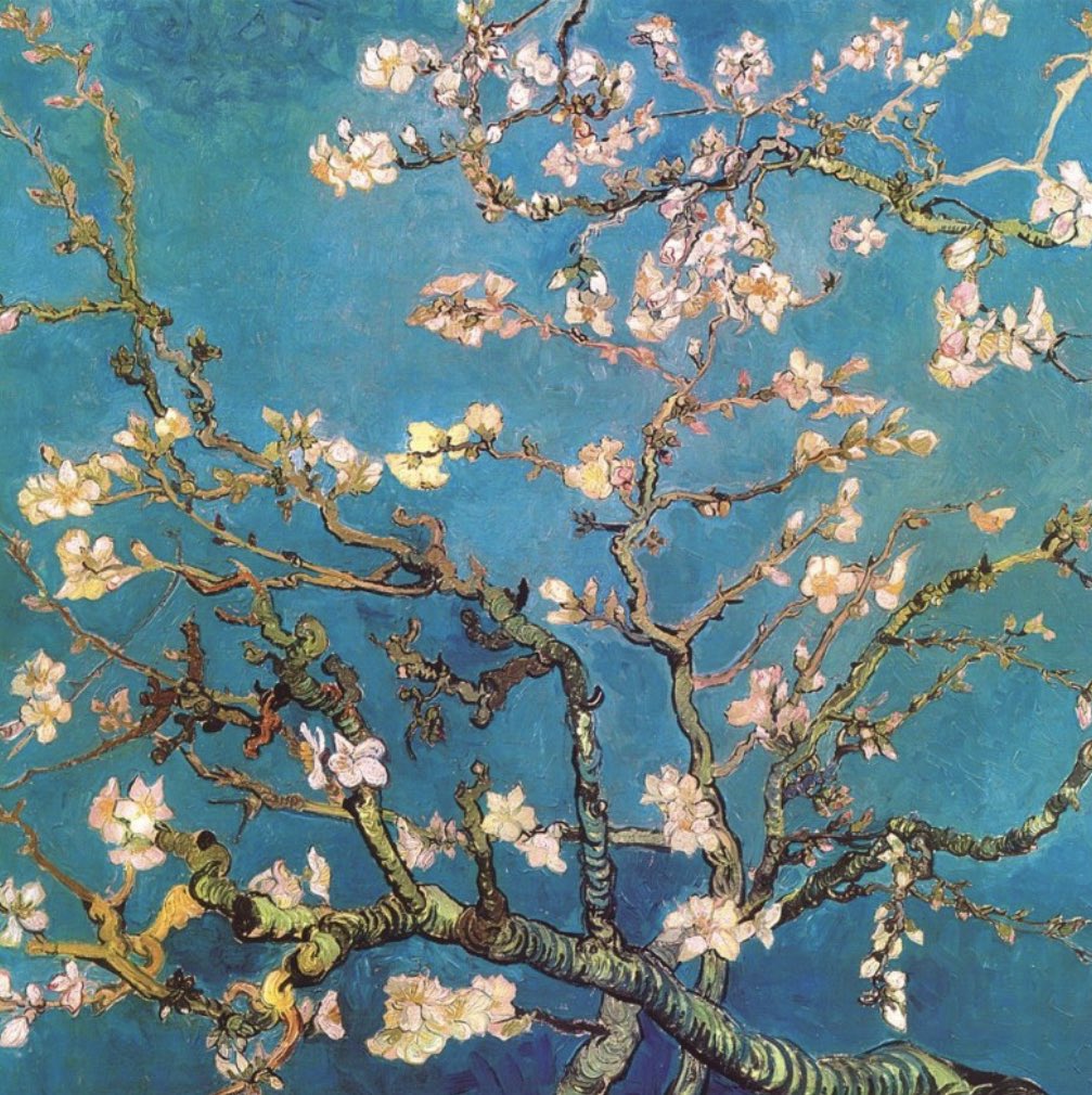 softdeIicacy's tweet photo. van gogh's flowers and trees. https://t.co/CqMJJ30KHa