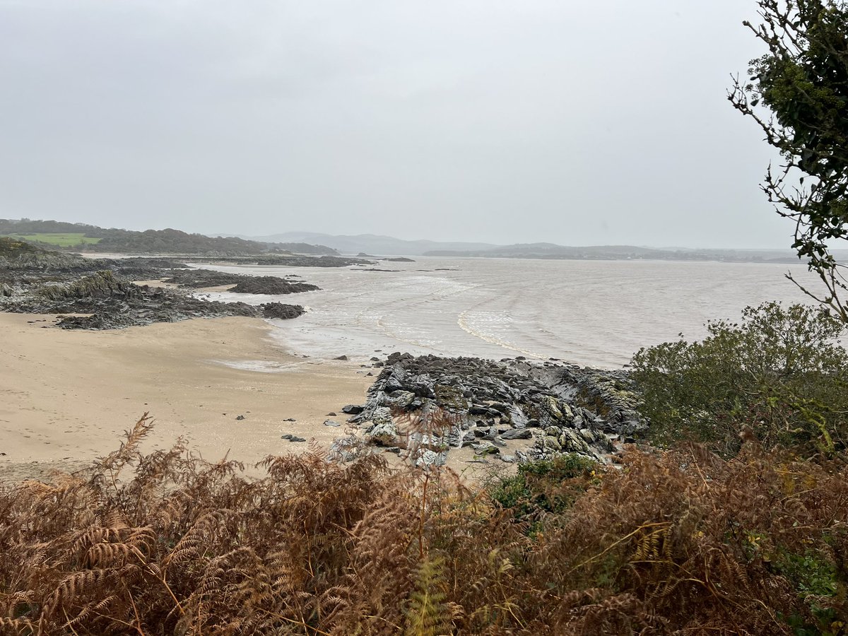dtbarron's tweet photo. Wind swept, (probably still not that interesting) and oh man was droochit on beach walk this morning #hadaball #keepactive #fleetbay https://t.co/j2UlqqBwCG