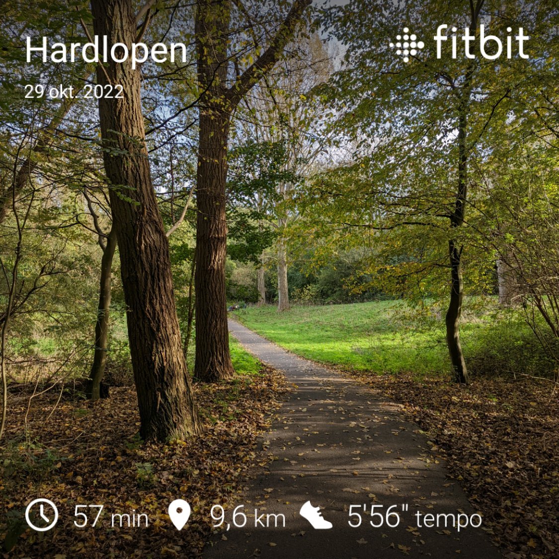 fabiobruna's tweet photo. Als mooiweerloper ben ik heel blij met dit weer. #losloper https://t.co/zTimulTofB