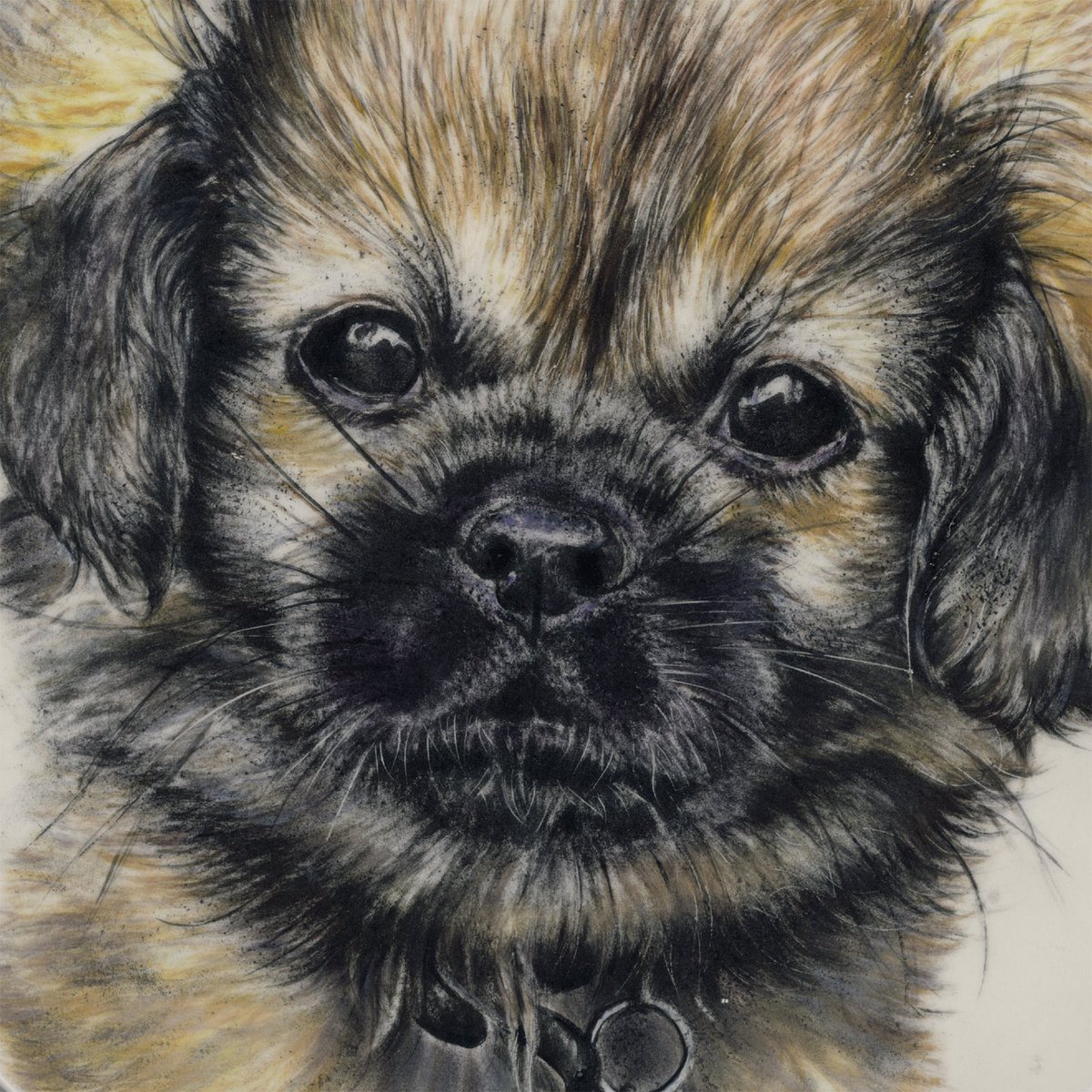PaintedPets tweet picture