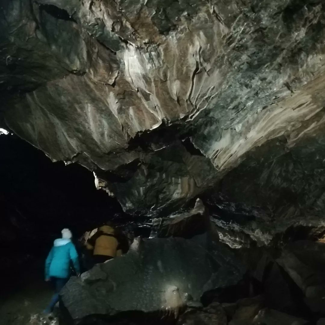 Ellen O Sullivan tweet media