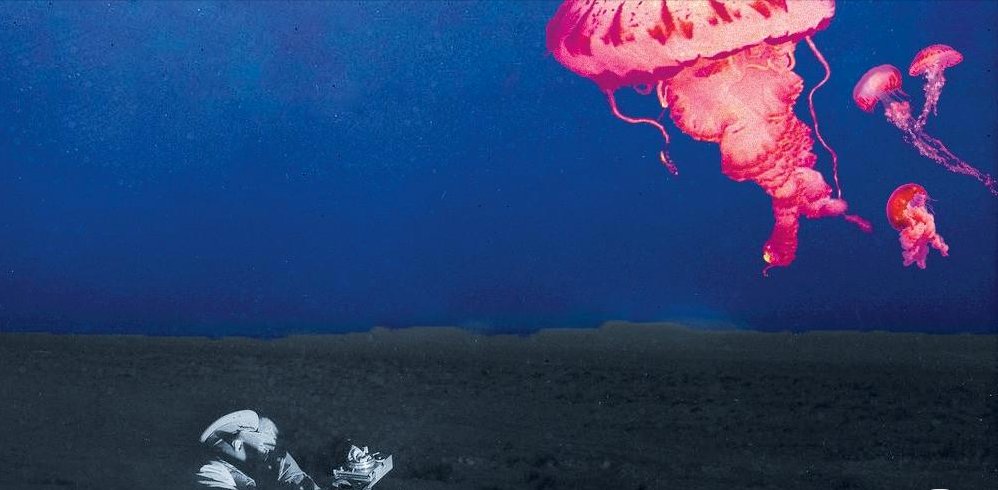 mfagreensboro's tweet image. A Group of Elephants Is Called a Memory - #poetry by @UNCG MFA Writing Program alum Dan Albergotti at @BearReview bit.ly/3ffnH8m @mfagreensboro @UNCG_ENG @UNCG_CAS #UNCGAlumni #UNCGway #FindYourWayHere